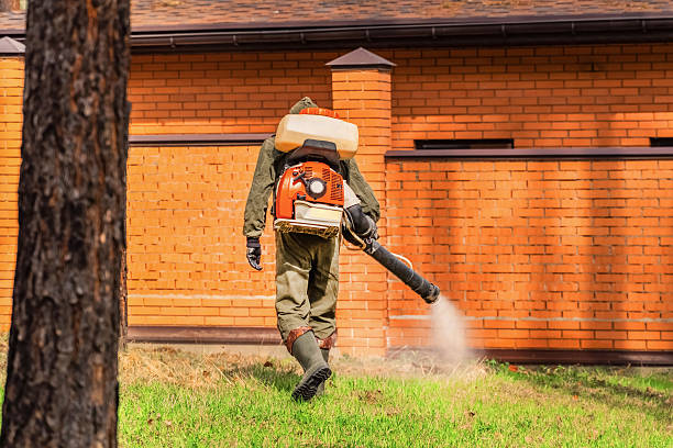 Top rated local Fumigation Services specialists in Ripley, MS